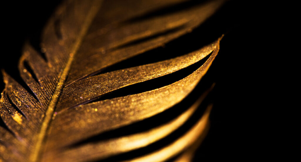 Golden swan feather
